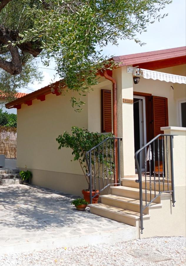 Case Vacanze La Quercia Marina di Camerota Exterior photo