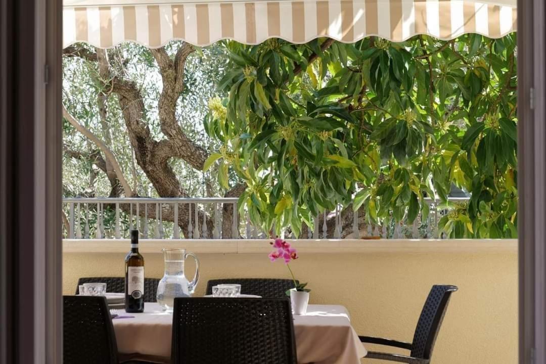 Case Vacanze La Quercia Marina di Camerota Exterior photo